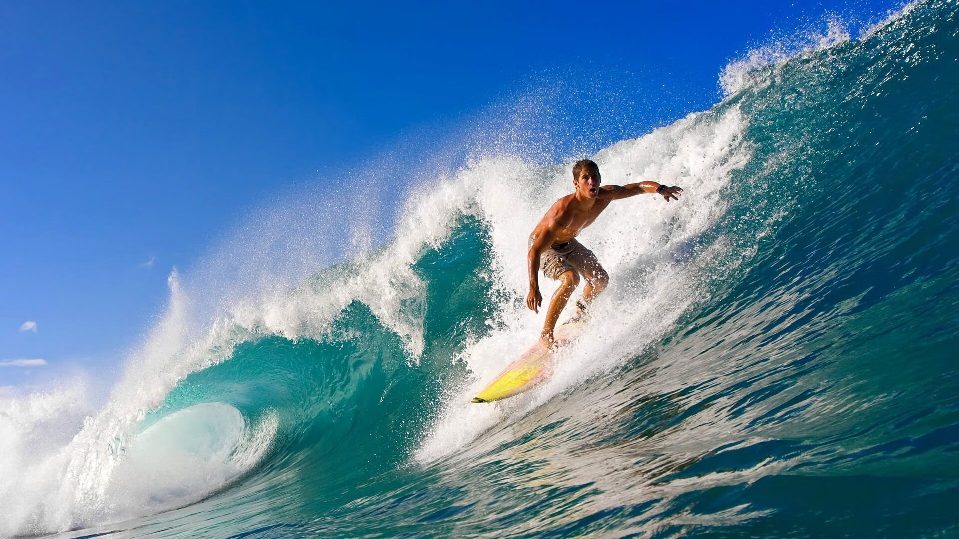 年度焦点之战,沙特带走塞内加尔,改写世界杯格局的一夜